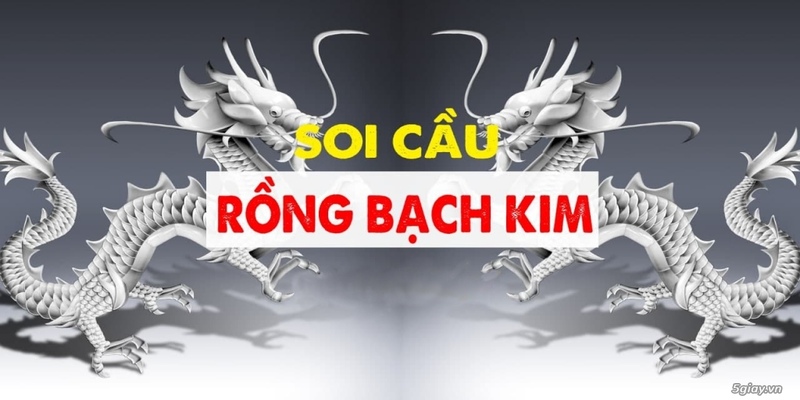 Bạn đã biết soi cầu rồng bạch kim chưa?