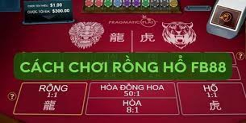 Cách chơi Rồng Hổ online