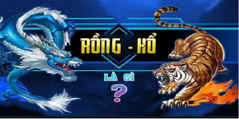 Rồng Hổ là gì?