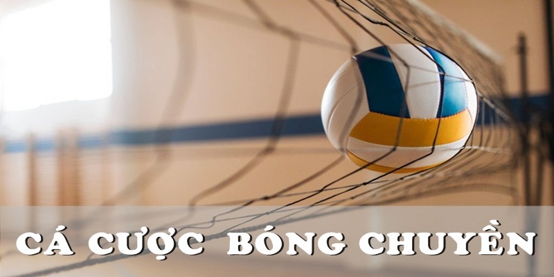 Cá cược bóng chuyền không chỉ giải trí mà còn mang lại phần thưởng lớn