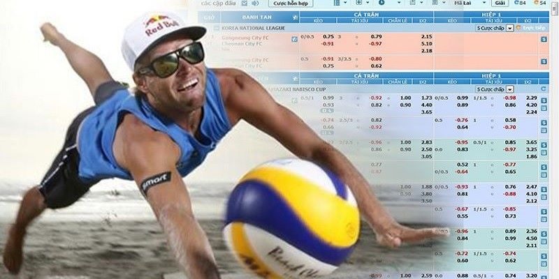 cá cược bóng chuyền
