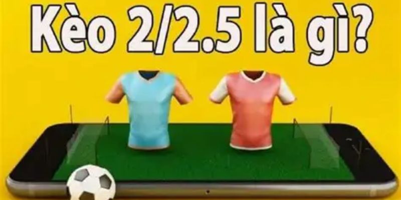 Kèo 2-2.5 Là Gì