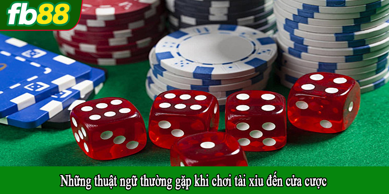 Những thuật ngữ thường gặp khi chơi tài xỉu đến cửa cược