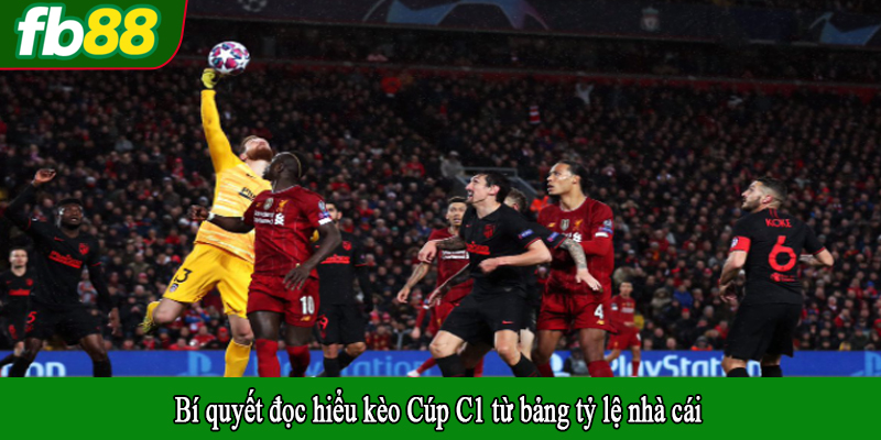 Bí quyết đọc hiểu kèo Cúp C1 từ bảng tỷ lệ nhà cái