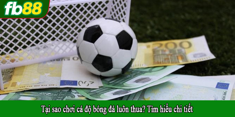 Tại sao chơi cá độ bóng đá luôn thua? Tìm hiểu chi tiết