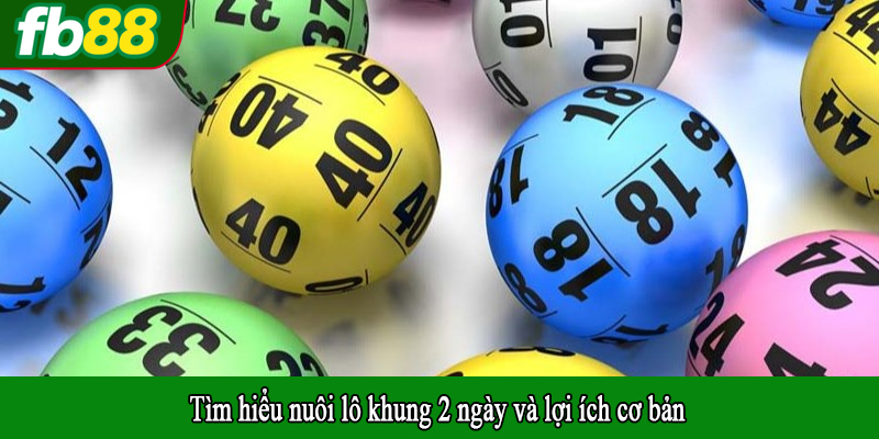 Tìm hiểu nuôi lô khung 2 ngày và lợi ích cơ bản