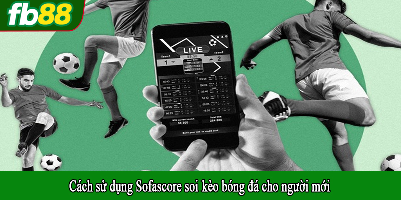 Cách sử dụng Sofascore soi kèo bóng đá cho người mới