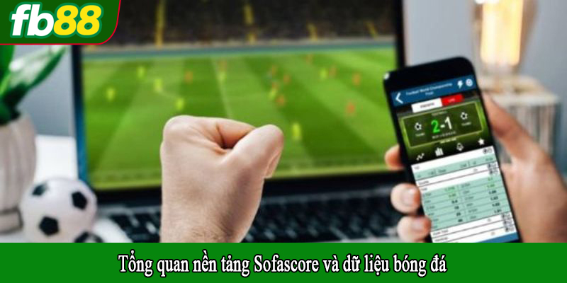 Tổng quan nền tảng Sofascore và dữ liệu bóng đá